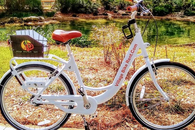 The Villages Bicycle Rental with Free Delivery - Image 3