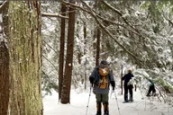 Boston Snowshoe Adventure in Western Massachusetts 8 hr thumbnail 1