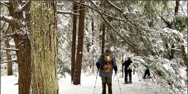 Boston Snowshoe Adventure in Western Massachusetts 8 hr - Image 1