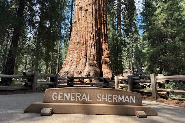 Los Angeles Sequoia and Kings Canyon Private Tour - Image 1