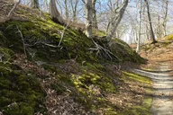 Cape Cod National Seashore Guided Hike thumbnail 3