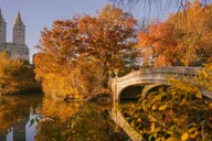 New York Central Park Walking Tour thumbnail 1