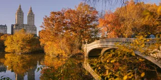 New York Central Park Walking Tour