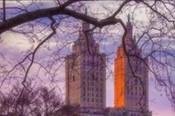New York Central Park Horse and Carriage Ride thumbnail 1
