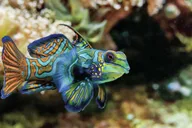 Boston New England Aquarium Admission thumbnail 2