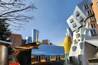 Cambridge University Tour of MIT and Harvard thumbnail 6