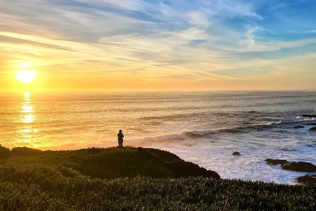 Bodega Head Self-Guided Audio Tour - Image 4