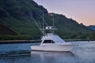 Kauai Fishing Charter thumbnail 1