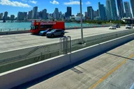 Miami City Tour with Boat and Everglades Adventure thumbnail 4