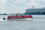 Charleston Water Taxi Cruise with Dolphin Sighting thumbnail 3