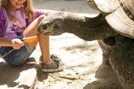 Orlando Gatorland Skip-the-Line Ticket thumbnail 4