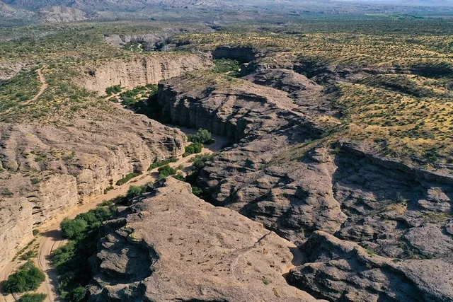 Scottsdale Sonoran Desert Jeep Tour - Image 5