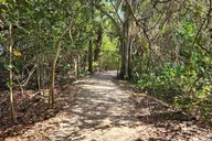 Florida Backcountry Camping Adventure thumbnail 4