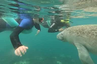 Crystal River Manatee Swim Small Group 3 Hr thumbnail 2