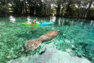 Crystal River Clear Kayak and Snorkeling Tour thumbnail 3