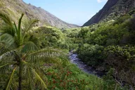 Maui Sips, Sites, and Bites Day Trip from Oahu thumbnail 4