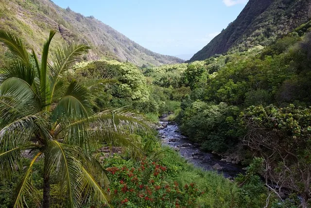 Maui Sips, Sites, and Bites Day Trip from Oahu - Image 4
