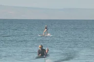 Maui Efoil Experience on the South or West Shore 1.5 hr thumbnail 4