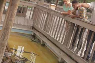Orlando Gatorland Interactive Tour with Animal Trainer 2 hr thumbnail 2