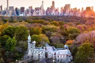 New York Central Park Horse Carriage Holiday Tour thumbnail 6