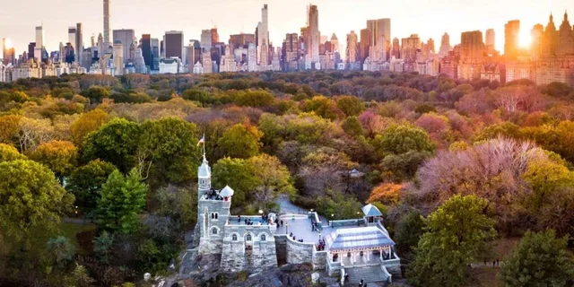 New York Central Park Horse Carriage Holiday Tour - Image 6