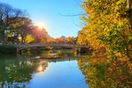 New York Central Park Walking Tour thumbnail 6