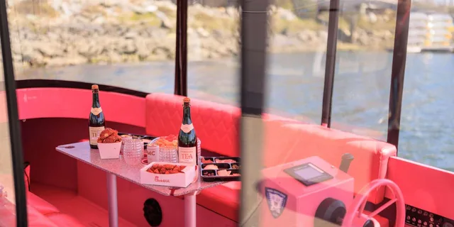 San Diego Electric Boat Rental - Image 4