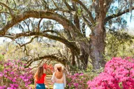 Charleston Magnolia Plantation Tour with Transport thumbnail 2