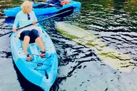 St. Augustine Kayak Adventure with Dolphins thumbnail 4
