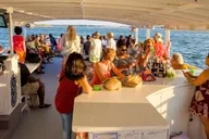 St. Augustine Dolphin Sightseeing Tour 1.5 hr thumbnail 2