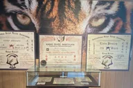 Memphis TigerMan Karate Dojo & Museum Tour thumbnail 2