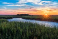 Savannah Dolphin Eco Tour thumbnail 6