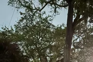 Woodstock Ghost Tour with Pub Crawl 2 hr thumbnail 5