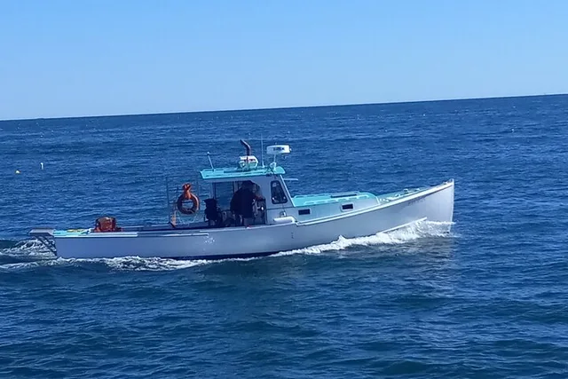 Frenchman Bay Sightseeing Charter - Image 3