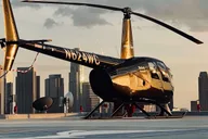 Los Angeles Helicopter Tour with Rooftop Landing thumbnail 1