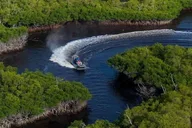 Miami Everglades Airboat Tour thumbnail 1