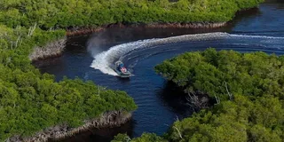 Miami Everglades Airboat Tour