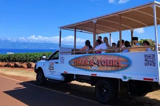 Maui Evening Open-Air Sightseeing Tour 90 Min