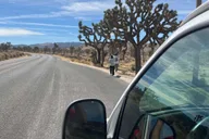 Joshua Tree National Park Sightseeing Tour thumbnail 2