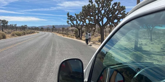 Joshua Tree National Park Sightseeing Tour - Image 2