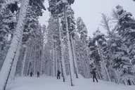 Lake Tahoe Snowshoe Trek at Sunset thumbnail 6