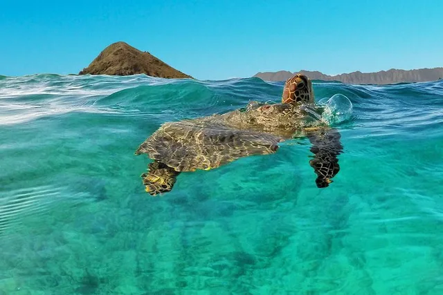 Kailua Guided Kayaking Excursion Oahu 2 hr - Image 3