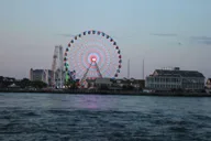 Ocean City Speedboat Tour with Dolphin Spotting 45 min thumbnail 3