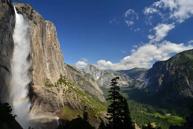 Yosemite Giant Sequoia Grove Hike - Image 6
