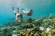 Kona Snorkeling Adventure Open Charter thumbnail 5