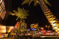 Las Vegas Festive Walking Tour thumbnail 5
