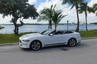 Miami Convertible Mustang Tour thumbnail 2