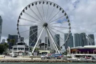 Miami City Tour by Air-Conditioned Vehicle thumbnail 5