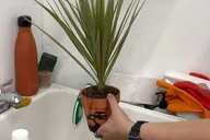 New York Plant Therapy Experience thumbnail 4