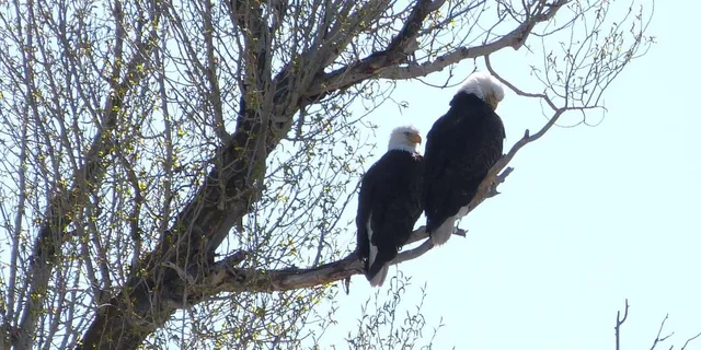 Jackson Snake River Fishing Trip - Image 3